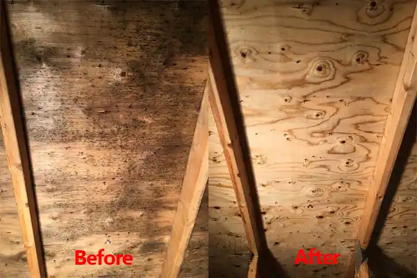 water damage restoration service Frostburg